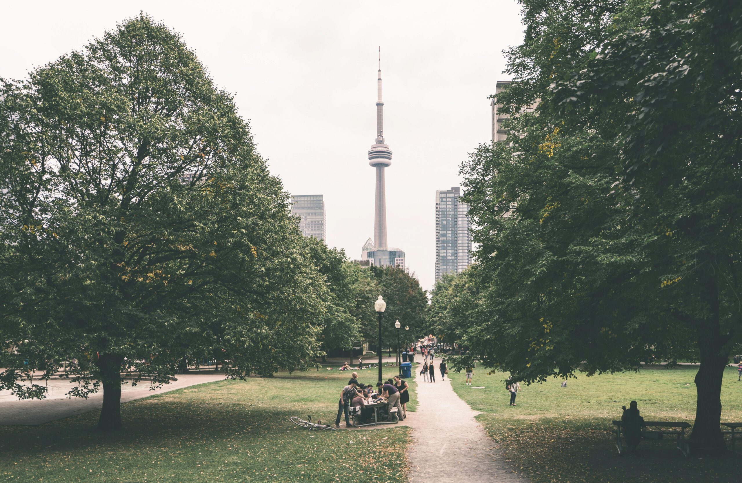 A view of Toronto's CN Tower from a local park.